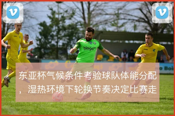 东亚杯气候条件考验球队体能分配,湿热环境下轮换节奏决定比赛走向